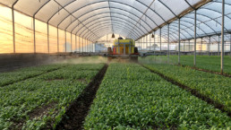 Azienda Agricola Biologica di D'Acunto Maurizio