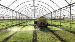 Azienda Agricola Biologica di D'Acunto Maurizio