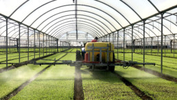 Azienda Agricola Biologica di D'Acunto Maurizio